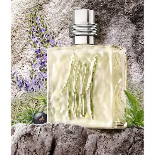Cerruti 1881 Pour Homme Eau De Toilette Spray 25ml by Cerruti
