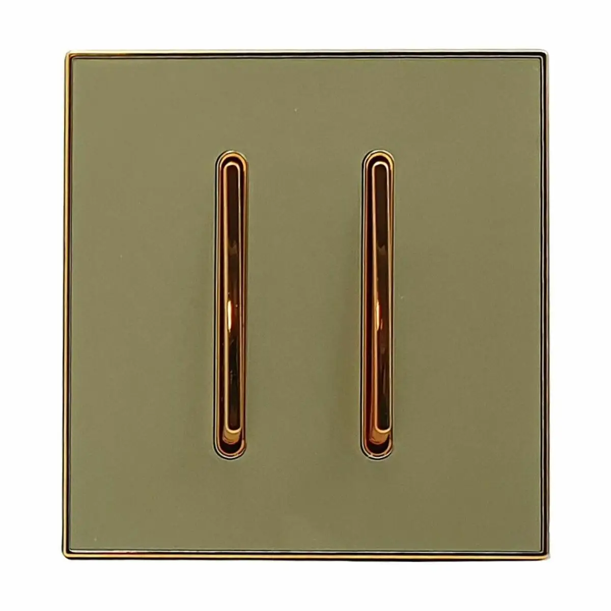 LEDSone industrial Screw less Wall Gold Glossy 2 Gang Switch~2635 by All Mart Bristol Ltd