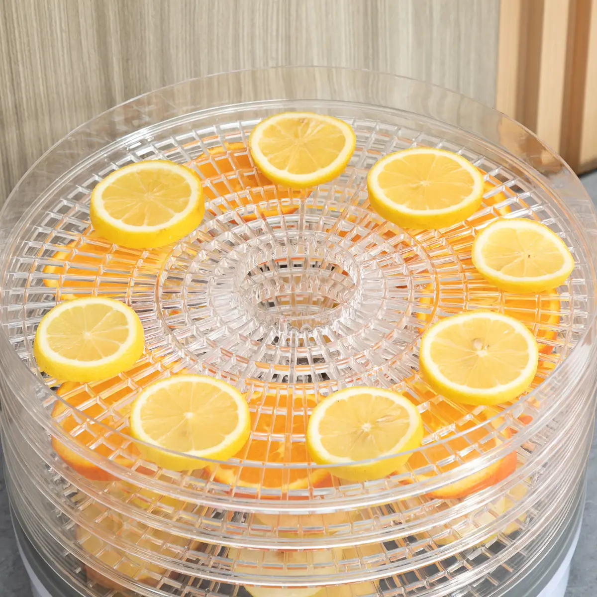 5 Tier Food Dehydrator 245W Stainless Steel Food Dryer Machine Timer LCD White by HOMCOM