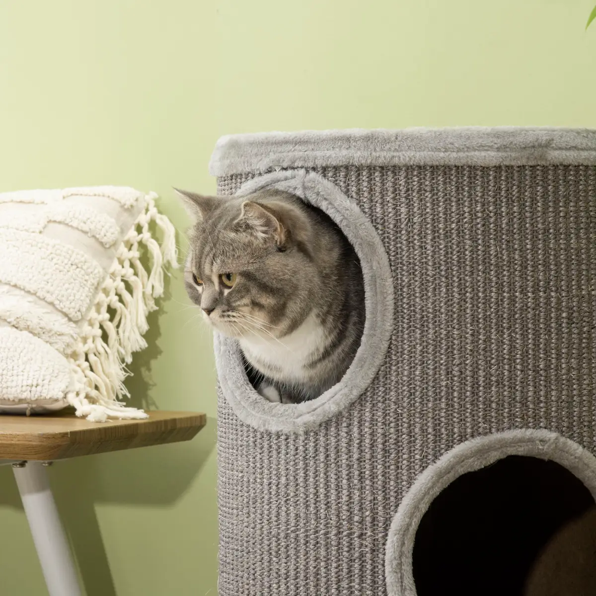 Cat Barrel Kitten Tree Tower for Indoor Cats, Covered with Sisal, Cosy Platform by PawHut