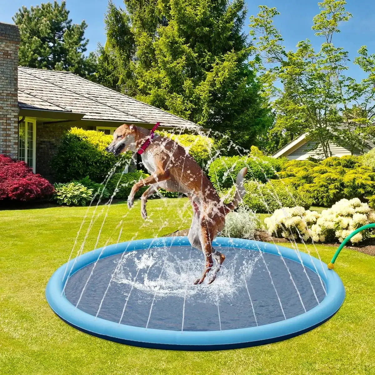 Dog Swimming Pool Pet Inflatable Spray Mat Dog Cooling Pad Outdoor Cat Interactive Fountain Toy Pet Sprinkler Pad Dogs Supplies by All Mart Bristol Ltd