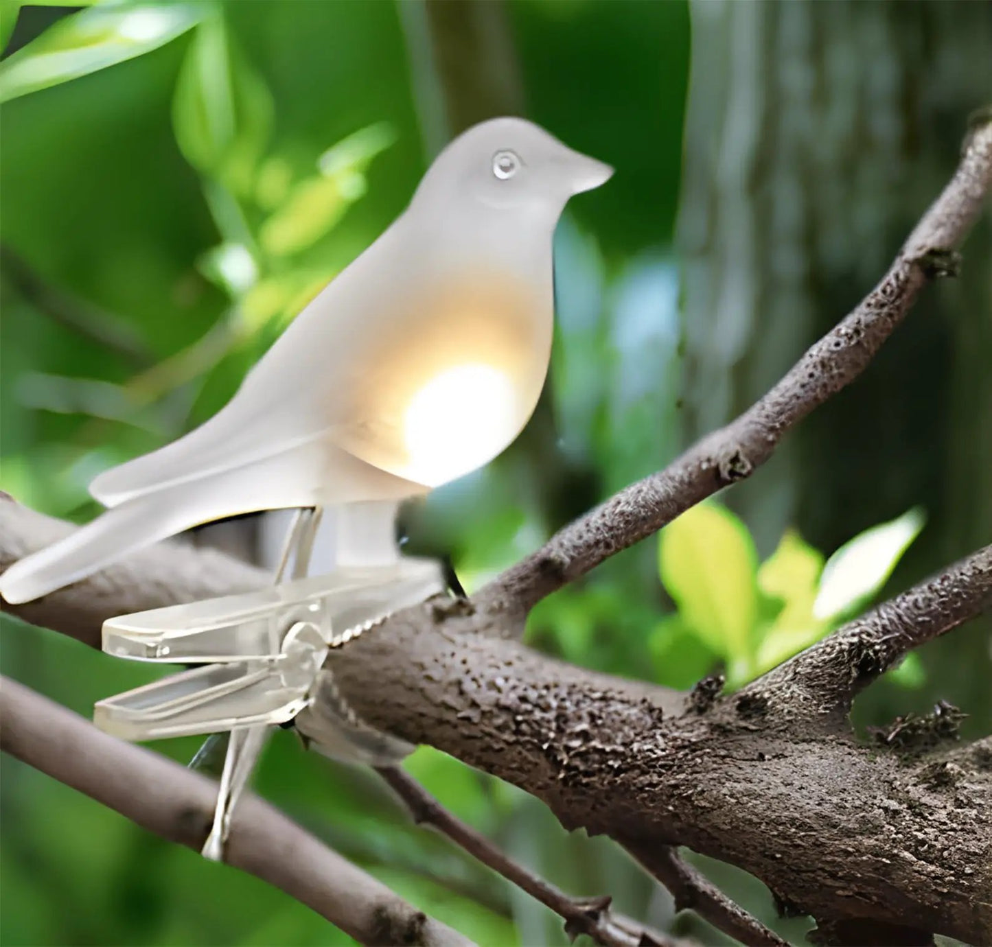 Clip-On Bird Decoration with Solar Light Set of 5 by Avilo