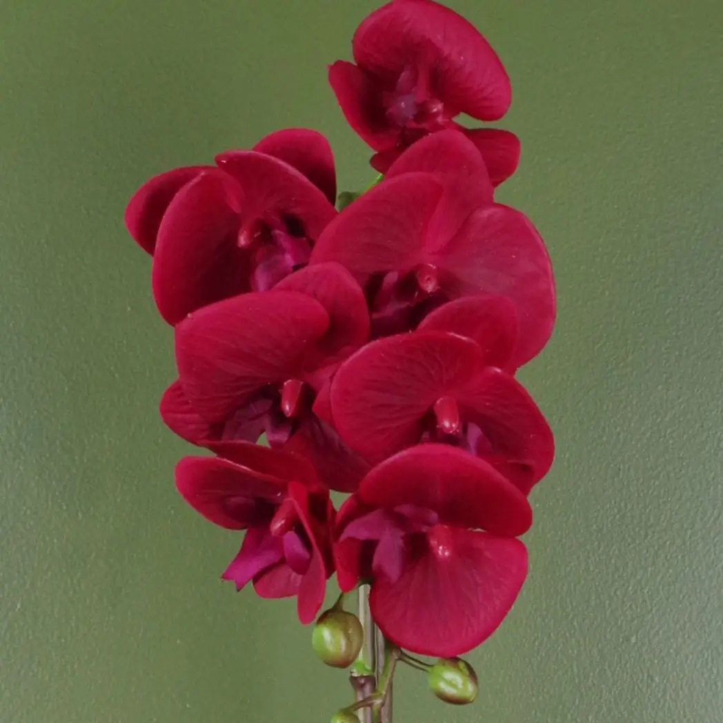 46cm Artificial Orchid Red with Silver Pot by Leaf