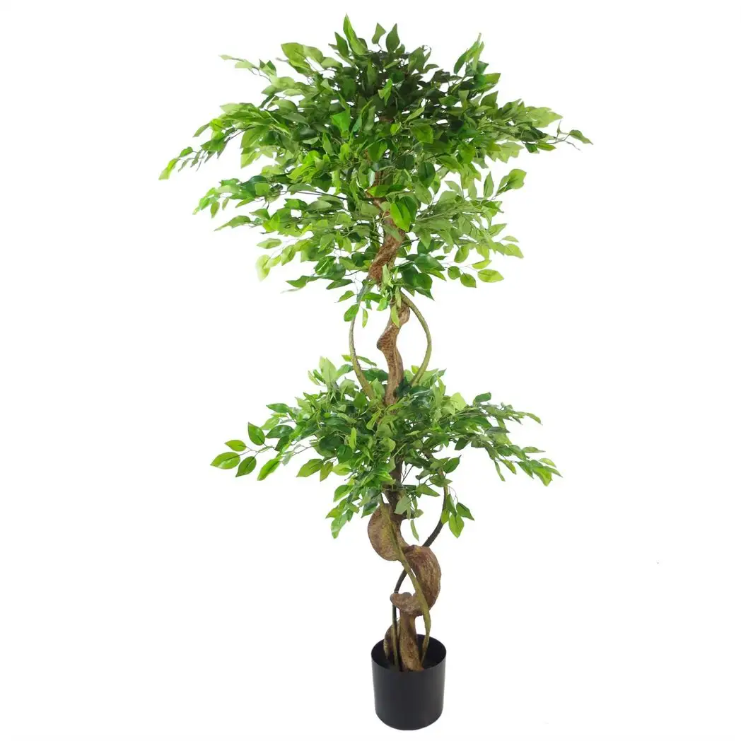 150cm Twisted Trunk Artificial Japanese Fruticosa Ficus Tree Silver Planter by Leaf