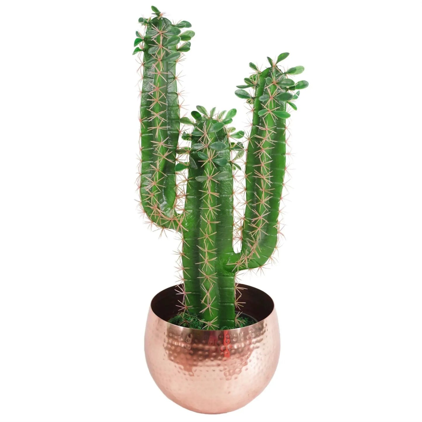 Large Metal Planter Straight Edge Hammered Metal Planter 18cm Botanik by Leaf Design