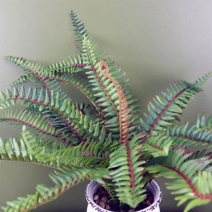 40cm Artificial Bushy Fern Potted in Decorative Planter by Leaf