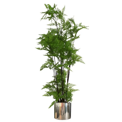Metal Planter Plant Pot with Polished Silver Finish 20 x 18cm by Leaf