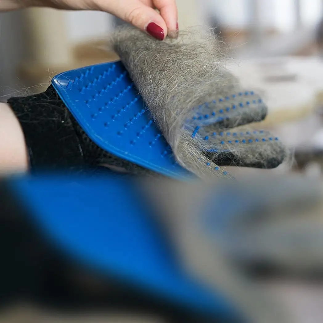 Cat And Dog Grooming Gloves 1 Pair - Blue by Aquarius