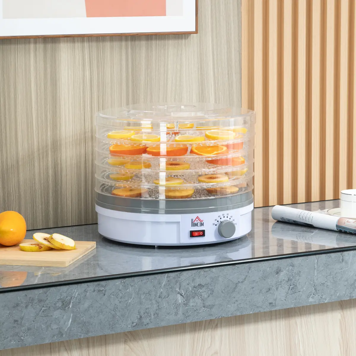 5 Tier Food Dehydrator 245W Stainless Steel Food Dryer Machine Timer LCD White by HOMCOM