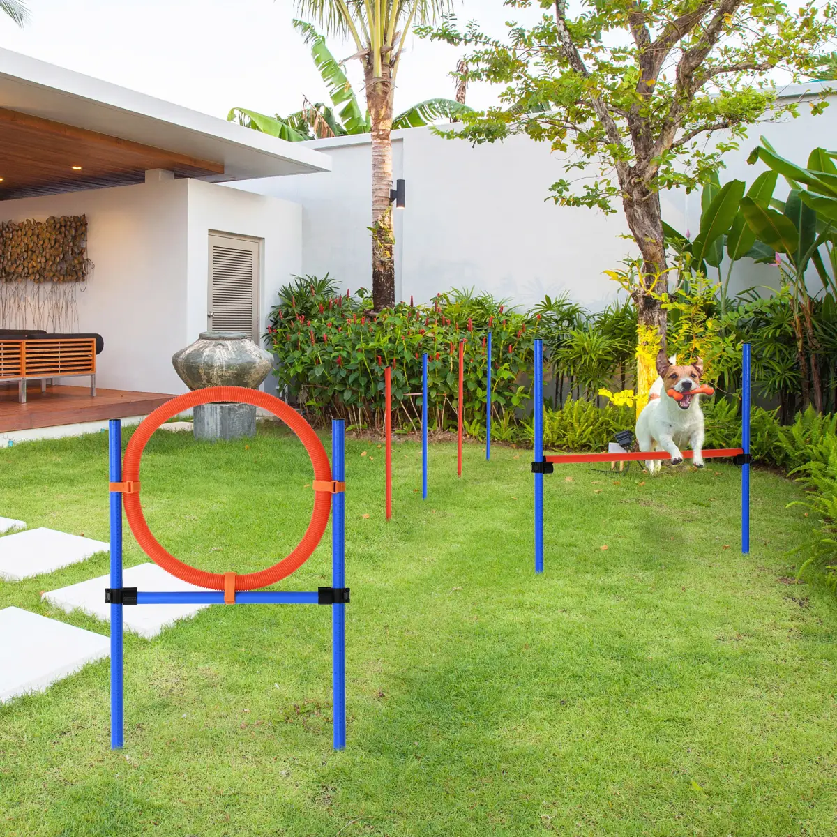 Pet Agility Set Training Play Kit Dog Jump Hoop Poles Tunnel Obedience Equipment by Pawhut