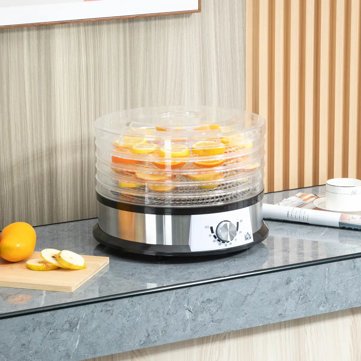 5 Tier Food Dehydrator 250W Stainless Steel Food Dryer Machine Silver by HOMCOM