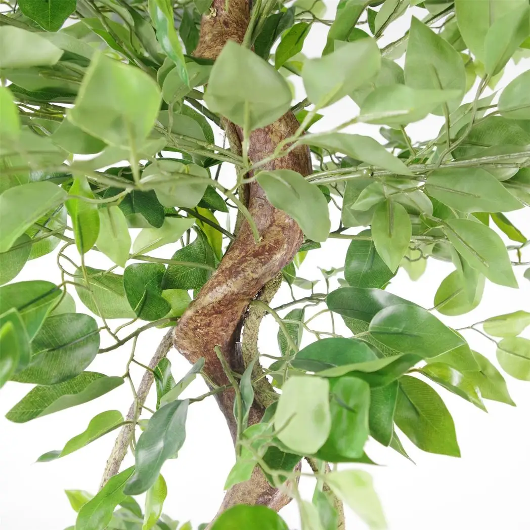 150cm Twisted Trunk Artificial Japanese Fruticosa Ficus Tree Gold Planter by Leaf