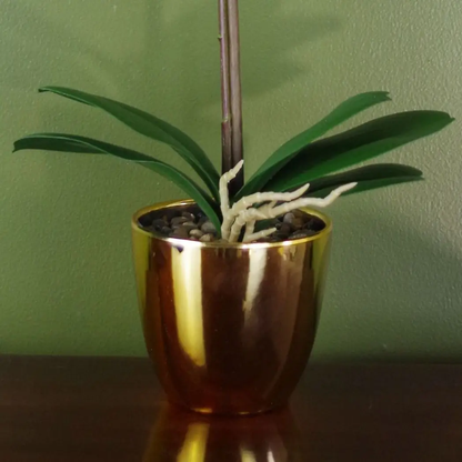 46cm Artificial Orchid White and Gold by Leaf