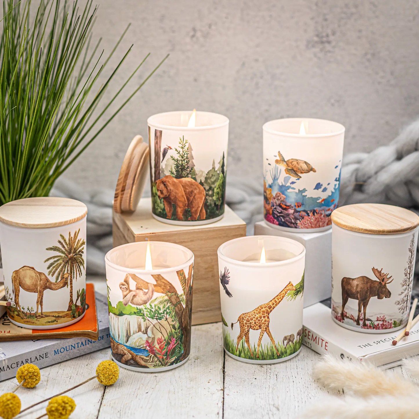 Save The Planet Scented Soy Wax Candle: Soothing Tundra by All Mart Bristol Ltd