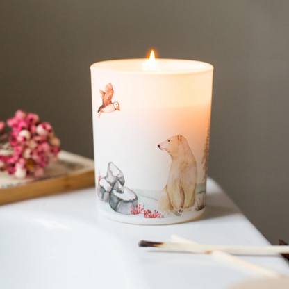 Save The Planet Scented Soy Wax Candle: Soothing Tundra by All Mart Bristol Ltd