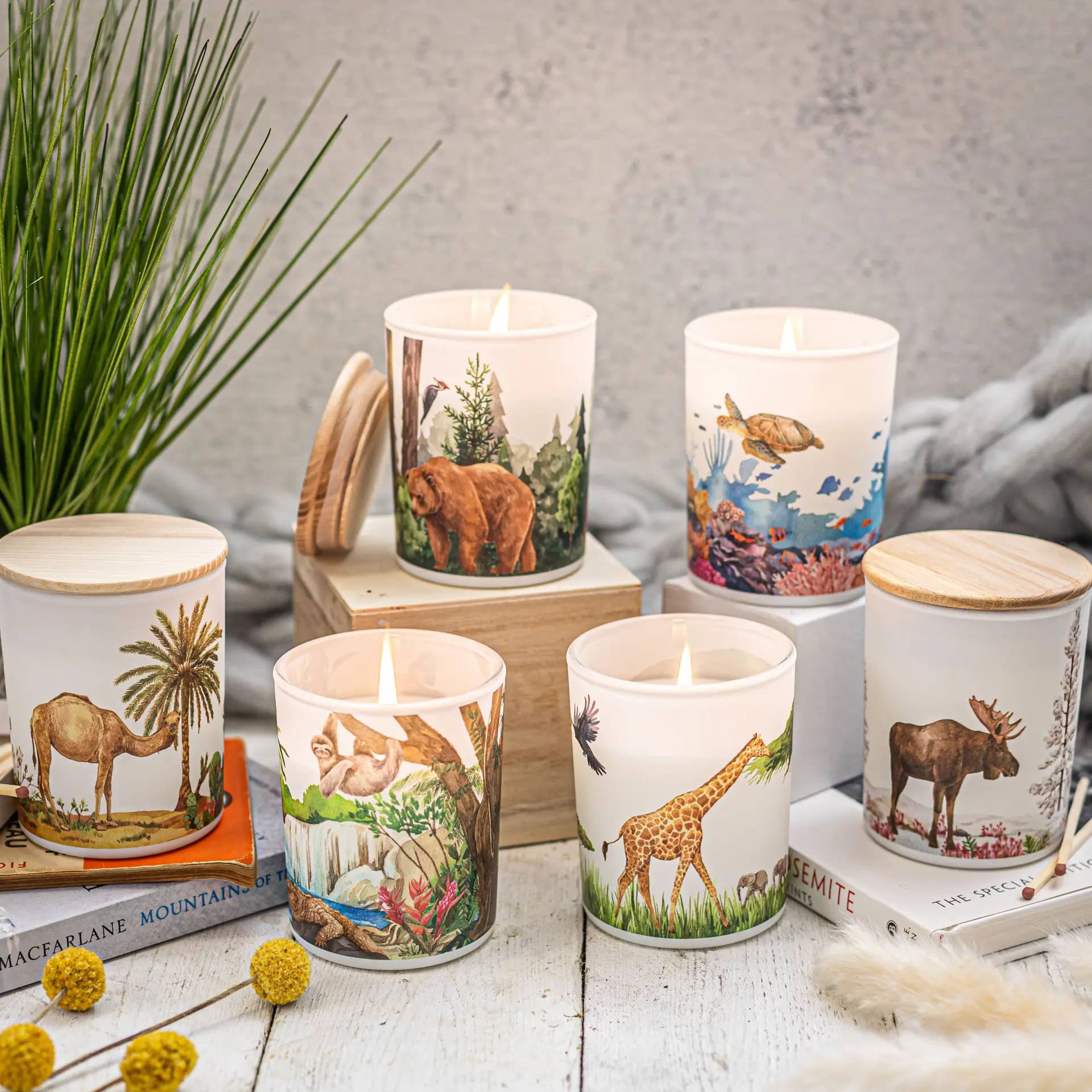 Save The Planet Scented Soy Wax Candle: Uplifting Grassland by All Mart Bristol Ltd