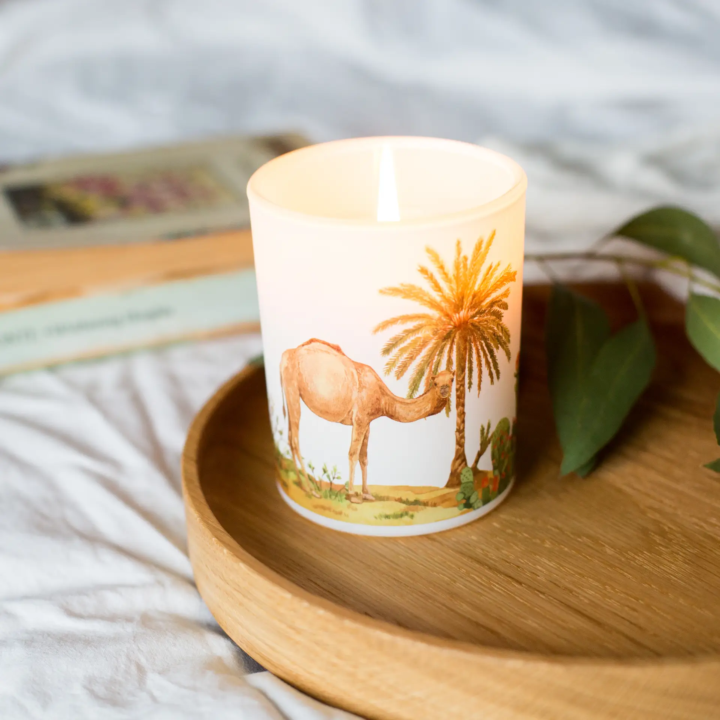 Save The Planet Scented Soy Wax Candle: Warming Desert by All Mart Bristol Ltd
