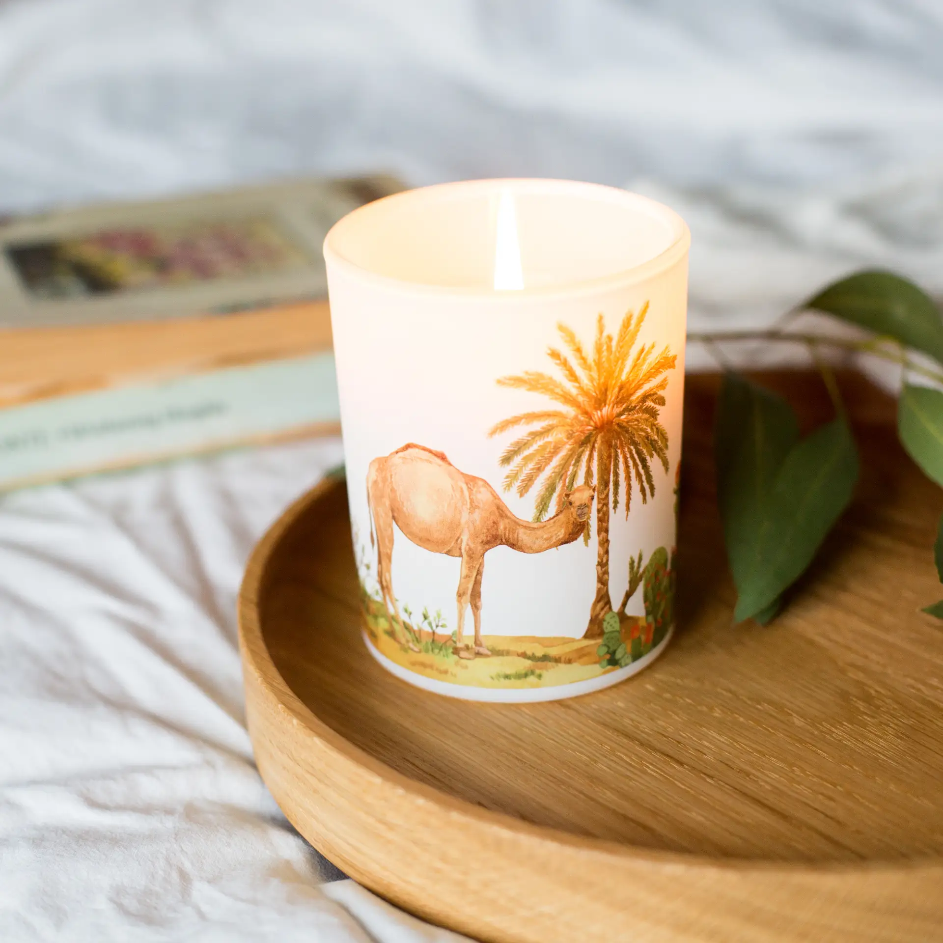 Save The Planet Scented Soy Wax Candle: Warming Desert by All Mart Bristol Ltd