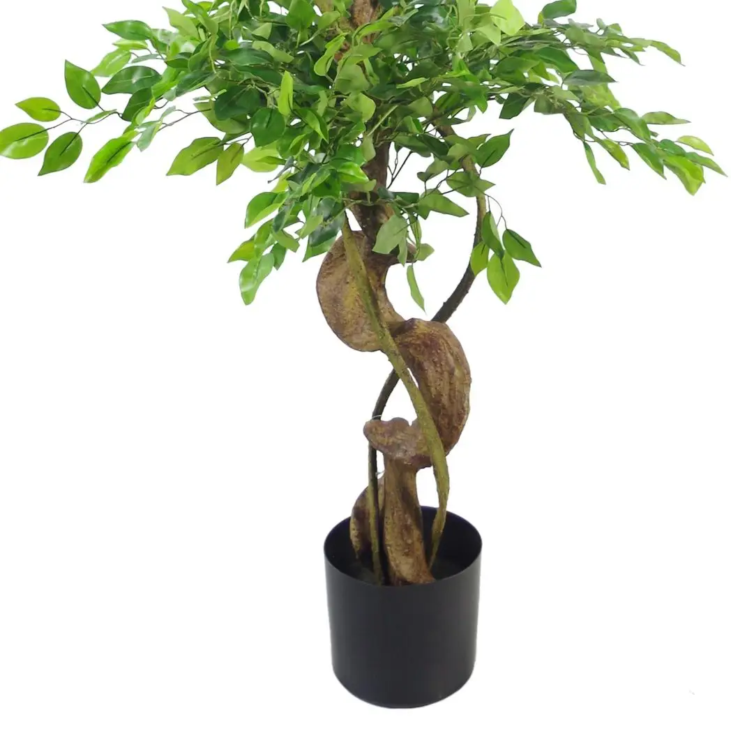 150cm Twisted Trunk Artificial Japanese Fruticosa Ficus Tree Silver Planter by Leaf