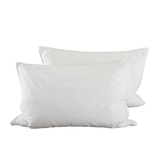 Duck Feather Pillow Pair by Harwoods