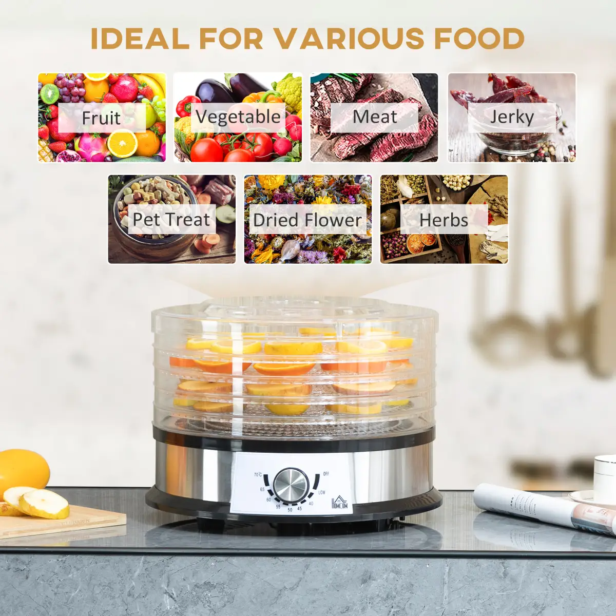 5 Tier Food Dehydrator 250W Stainless Steel Food Dryer Machine Silver by HOMCOM