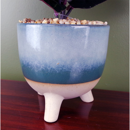 35cm Artificial Ficus Plant Potted in Teal Blue Green Ceramic Planter by Leaf