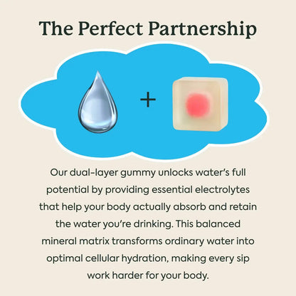 Wonderhydrate Electrolyte Gummies by Plant People - Zero Sugar, Dual-Layer Hydration Gummies - Salty Lychee Flavor by All Mart Bristol Ltd