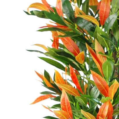 130cm Artificial Red & Green Ficus Tree by Leaf