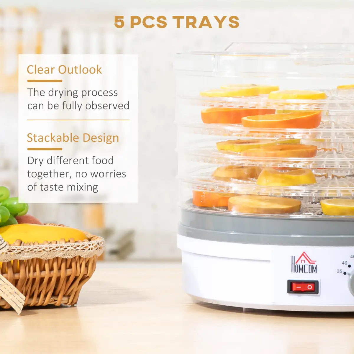 5 Tier Food Dehydrator 245W Stainless Steel Food Dryer Machine Timer LCD White by HOMCOM