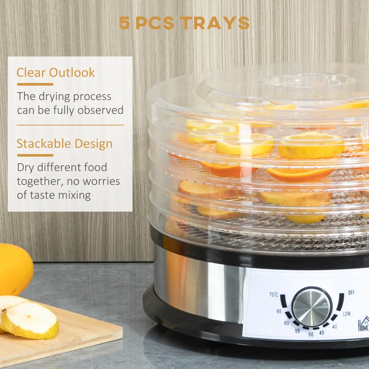 5 Tier Food Dehydrator 250W Stainless Steel Food Dryer Machine Silver by HOMCOM