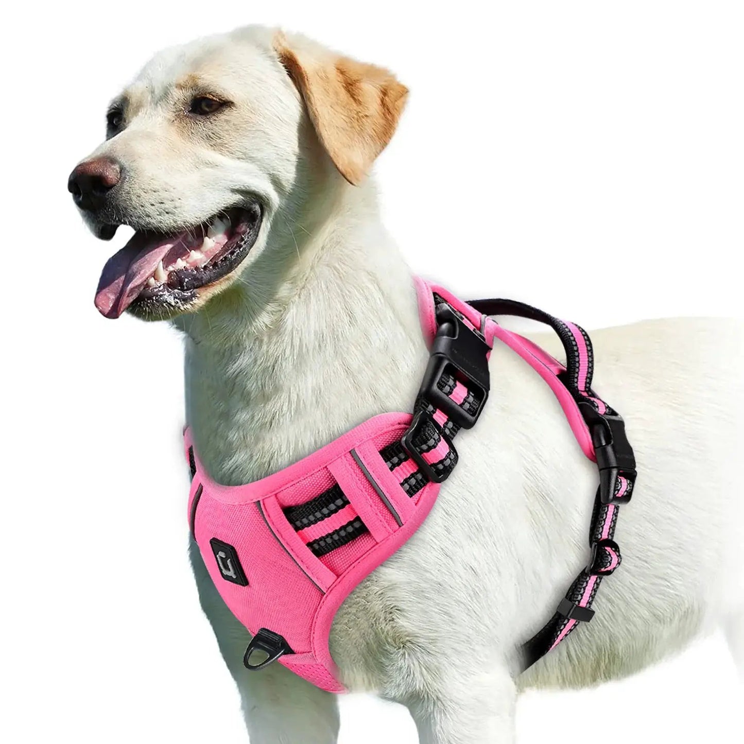 No Pull Dog Harness, Adjustable Soft Padded Pet Vest with Easy Control Handle by All Mart Bristol Ltd
