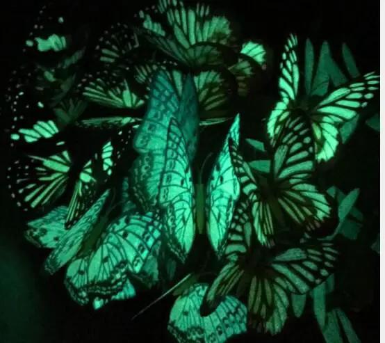 Set of 18 Glow in the Dark Butterflies by Avilo