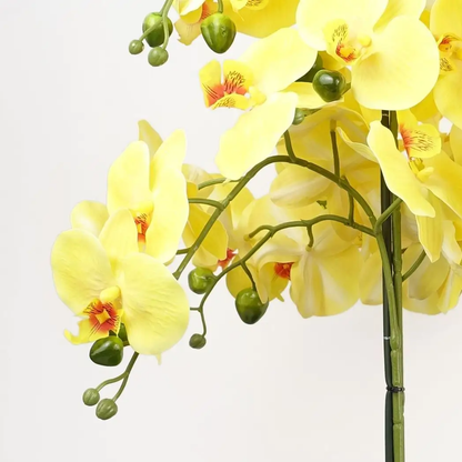 60cm Orchid Artificial Yellow Black Ceramic Planter by Leaf