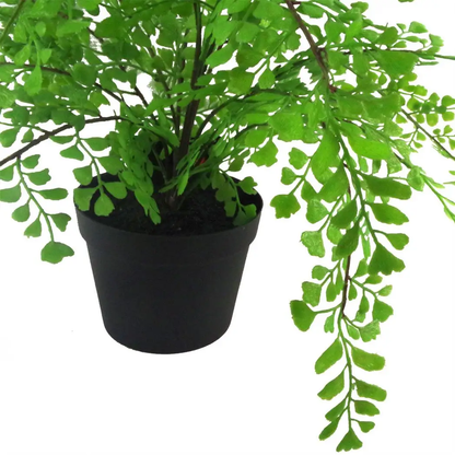 35cm Artificial Potted Fern Plant (Southern Maidenhair Fern) by Leaf
