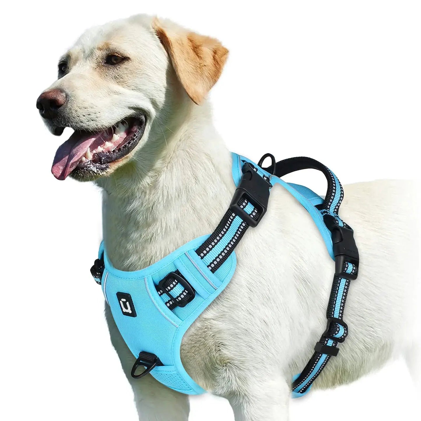 No Pull Dog Harness, Adjustable Soft Padded Pet Vest with Easy Control Handle by All Mart Bristol Ltd
