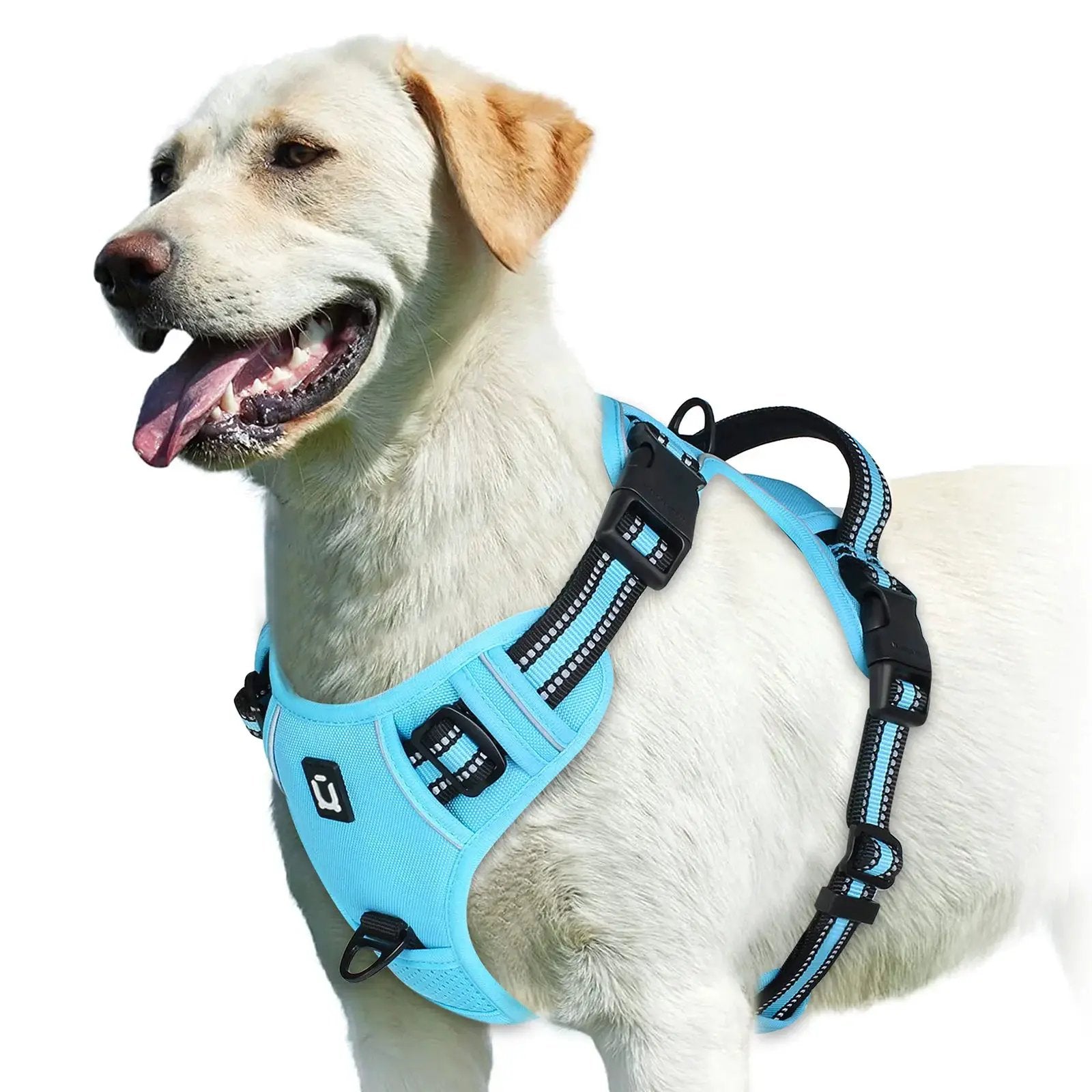 No Pull Dog Harness, Adjustable Soft Padded Pet Vest with Easy Control Handle by All Mart Bristol Ltd