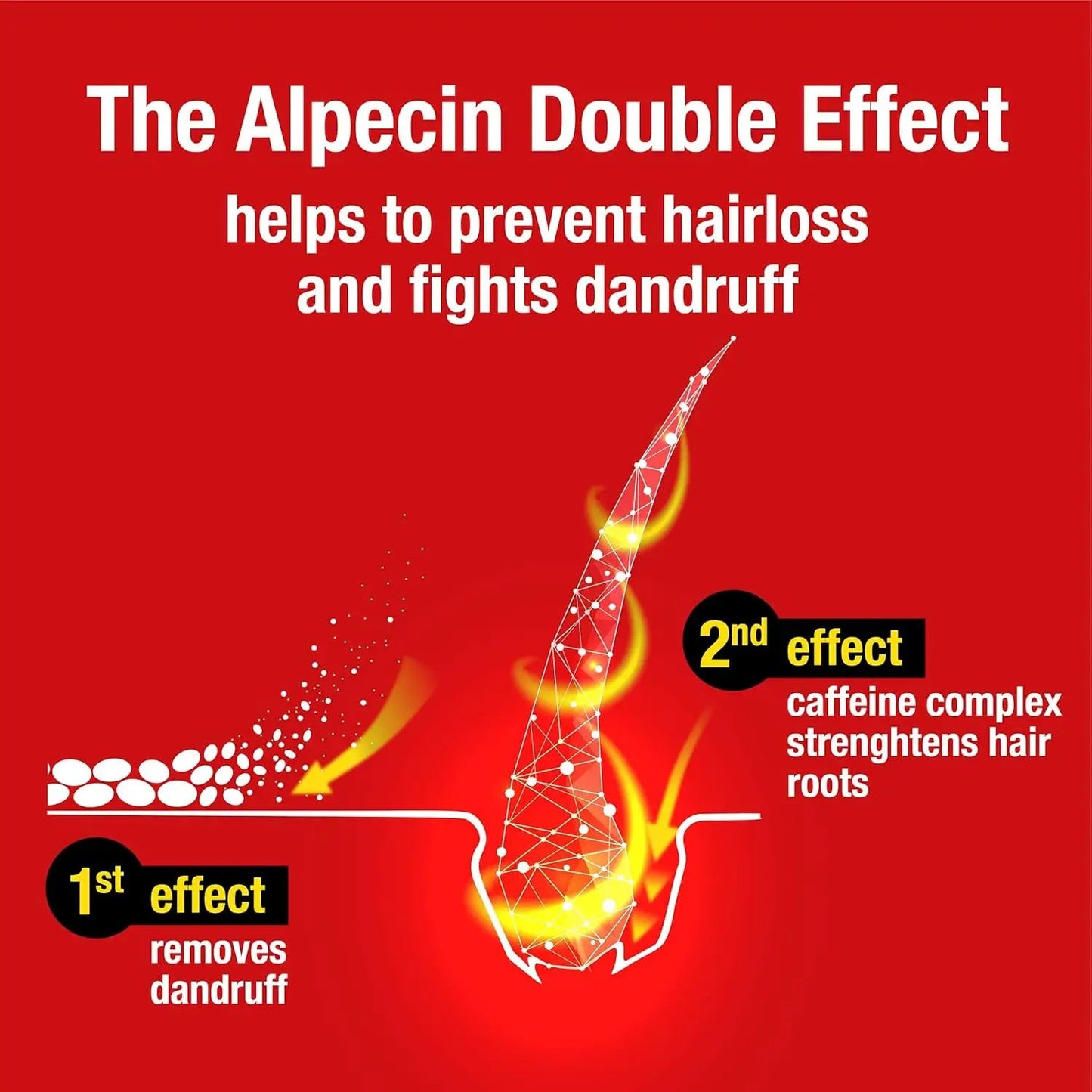 Double Effect Shampoo 3X 200ml - Anti-Dandruff & Natural Hair Growth Formula for Stronger Hair - Energizing Men's Hair Care Made in Germany by All Mart Bristol Ltd