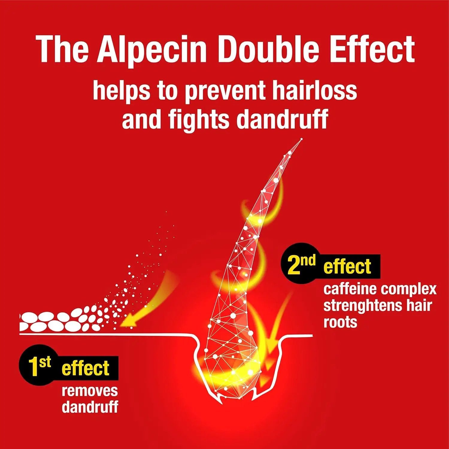 Double Effect Shampoo 3X 200ml - Anti-Dandruff & Natural Hair Growth Formula for Stronger Hair - Energizing Men's Hair Care Made in Germany by All Mart Bristol Ltd