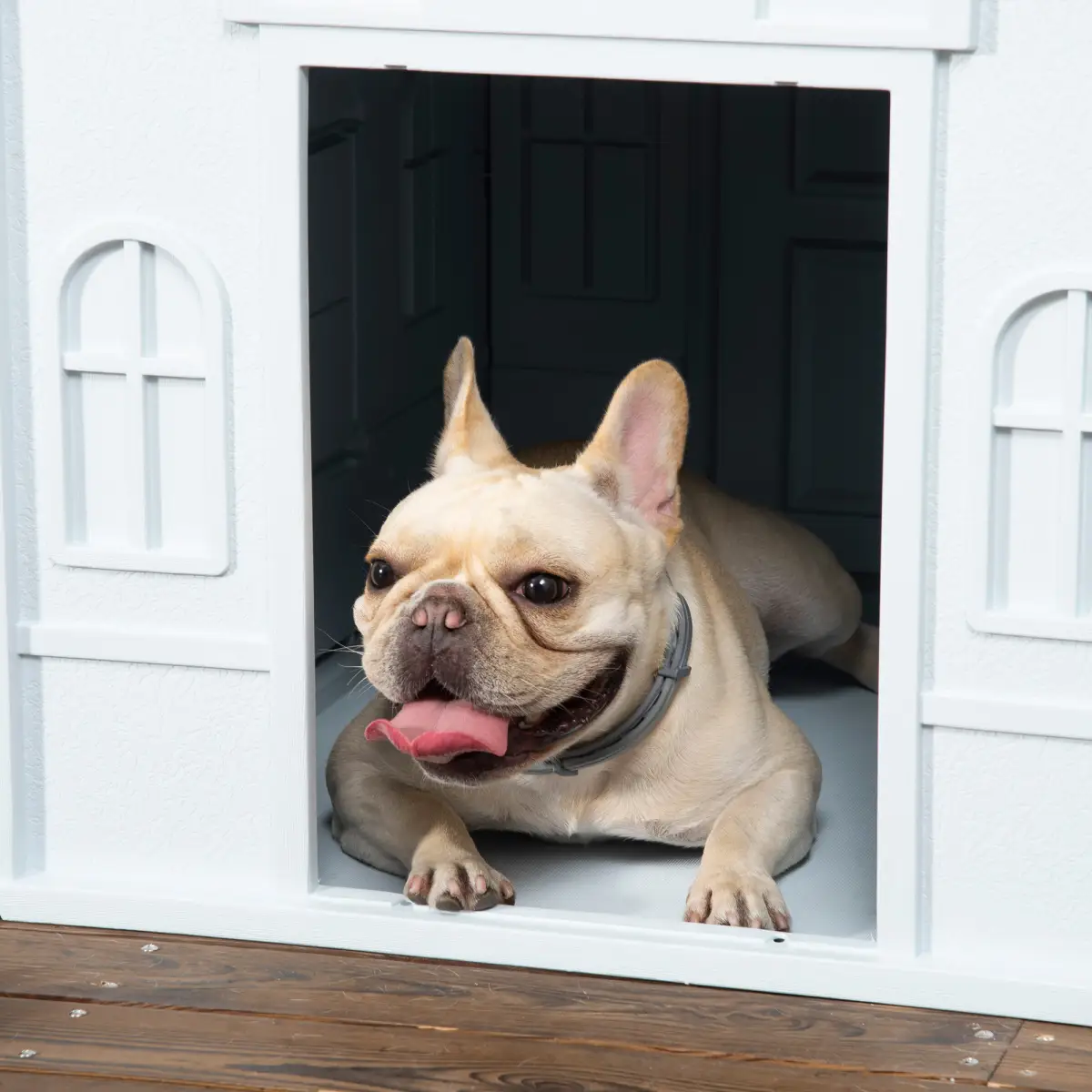 PawHut Weather-Resistant Dog House, Puppy Shelter for Medium Dogs - Blue by PawHut