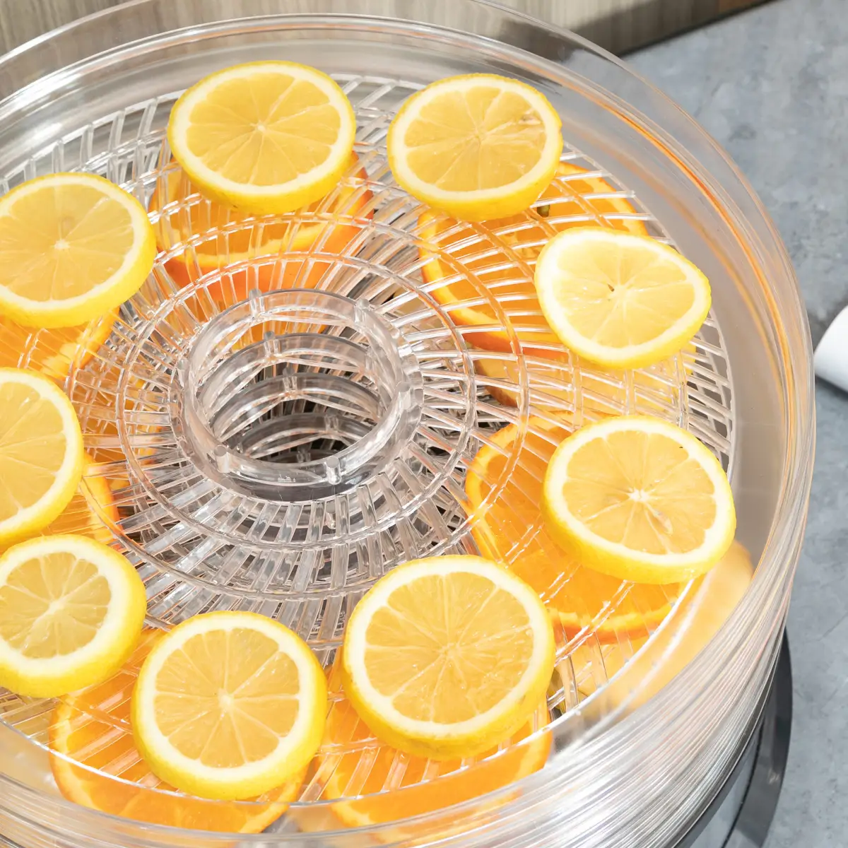 5 Tier Food Dehydrator 250W Stainless Steel Food Dryer Machine Silver by HOMCOM