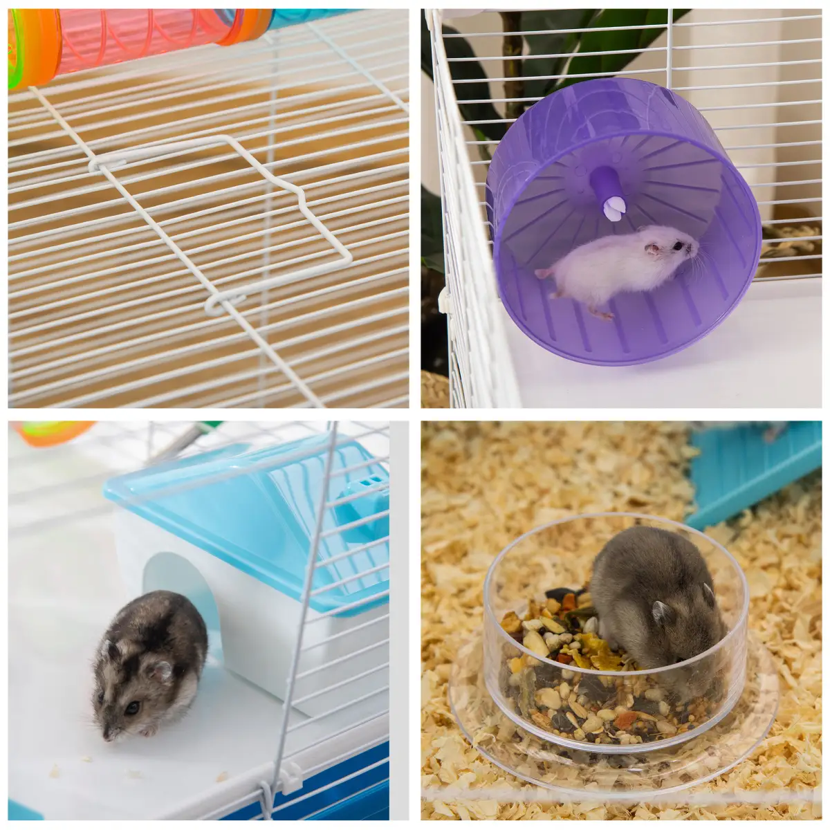 Hamster Cage Rodents House w/ Tubes Exercise Wheel, Water Bottle - Blue by Pawhut
