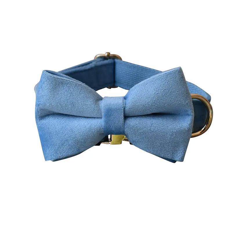 Blue Velvet Dog Collar Dog Rope Pet Collar by Dropshipman