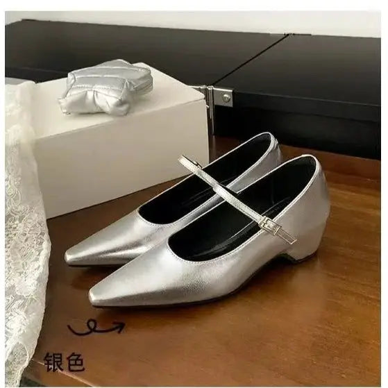 2026 New Arrival Sweet Elegant Shoes Women Wedge Heel Mary Jane Shoes Pointed Toe Women's Shoes Metal Buckle Trim Sandals 5413 by All Mart Bristol Ltd