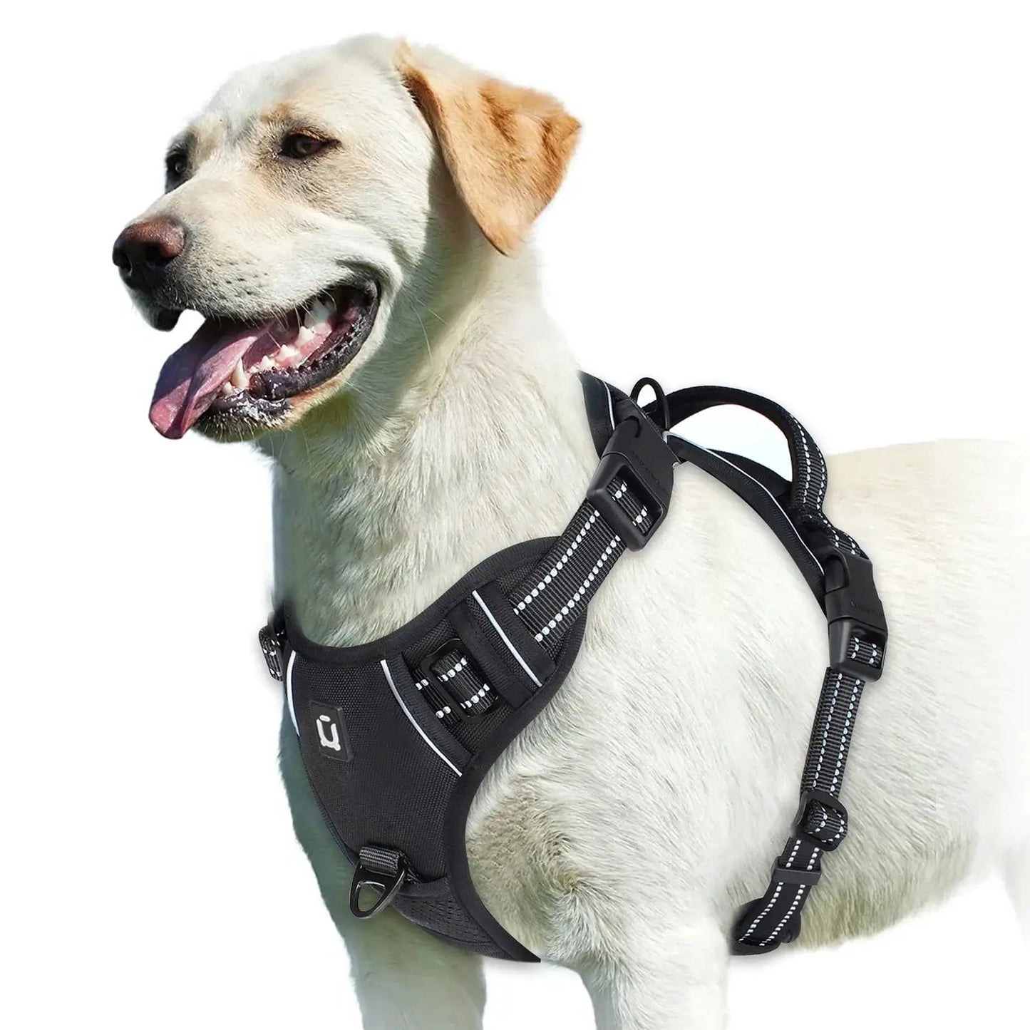 No Pull Dog Harness, Adjustable Soft Padded Pet Vest with Easy Control Handle by All Mart Bristol Ltd