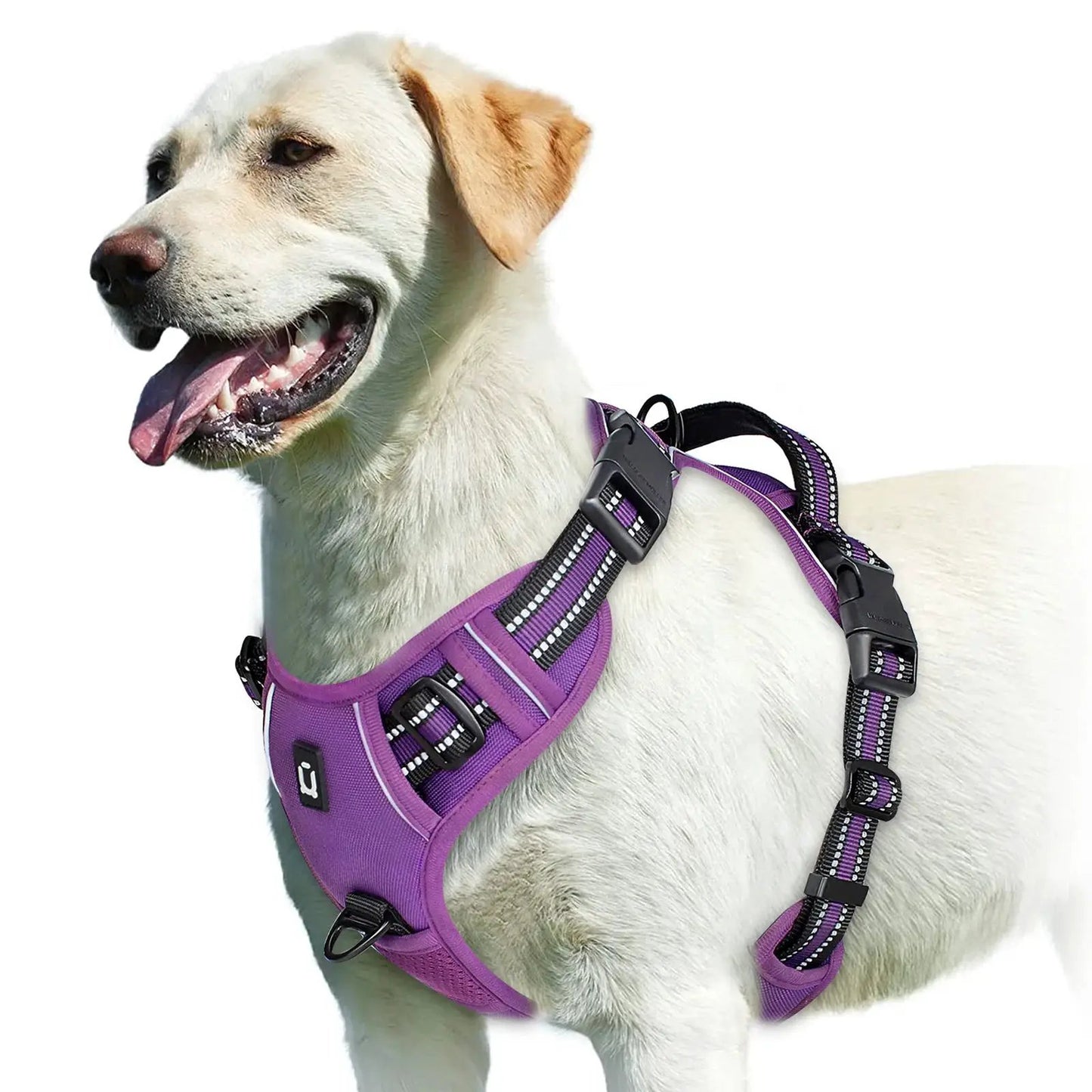 No Pull Dog Harness, Adjustable Soft Padded Pet Vest with Easy Control Handle by All Mart Bristol Ltd