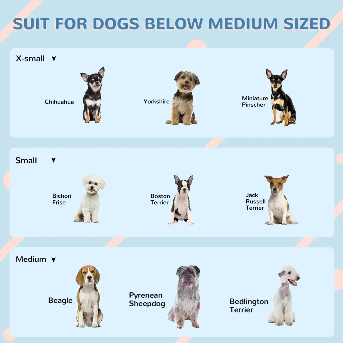 PawHut Weather-Resistant Dog House, Puppy Shelter for Medium Dogs - Blue by PawHut