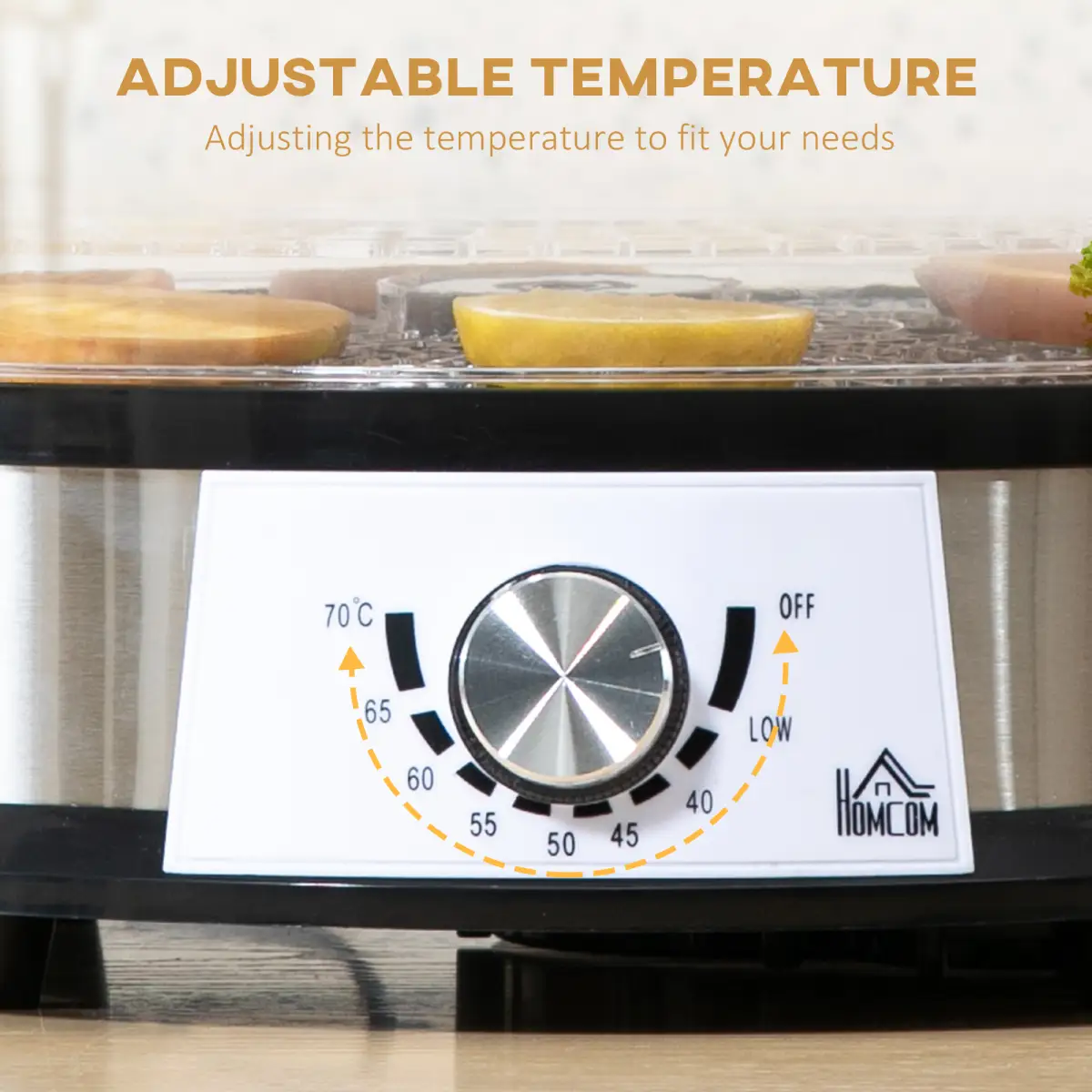 5 Tier Food Dehydrator 250W Stainless Steel Food Dryer Machine Silver by HOMCOM