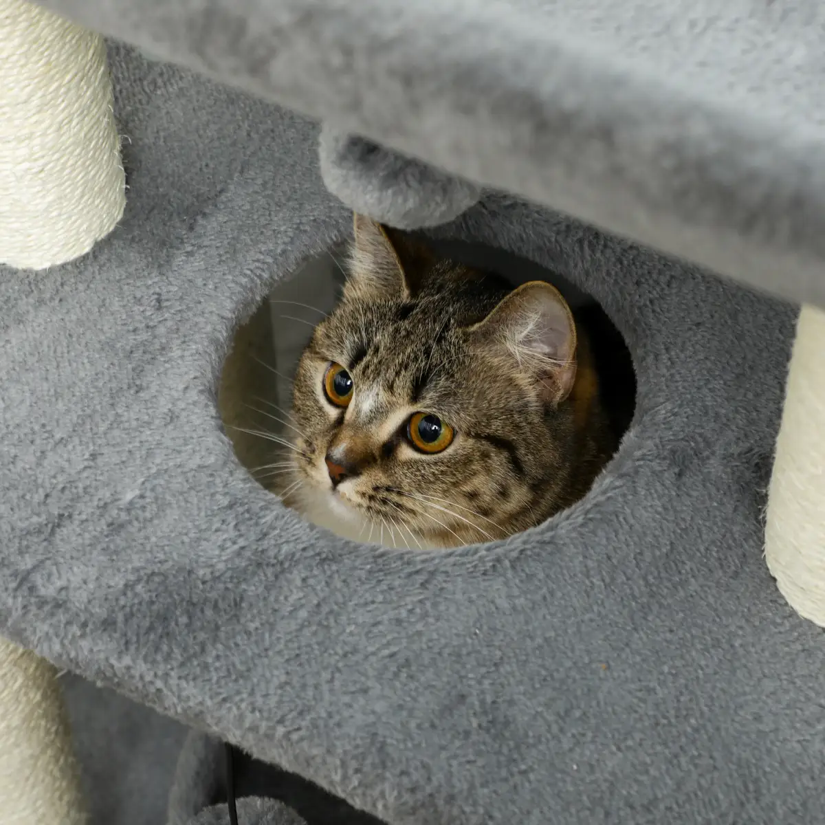 Cat Tree Tower for Indoor Cats w/ Scratching Posts, Pad, Light Grey, Toy Ball by PawHut