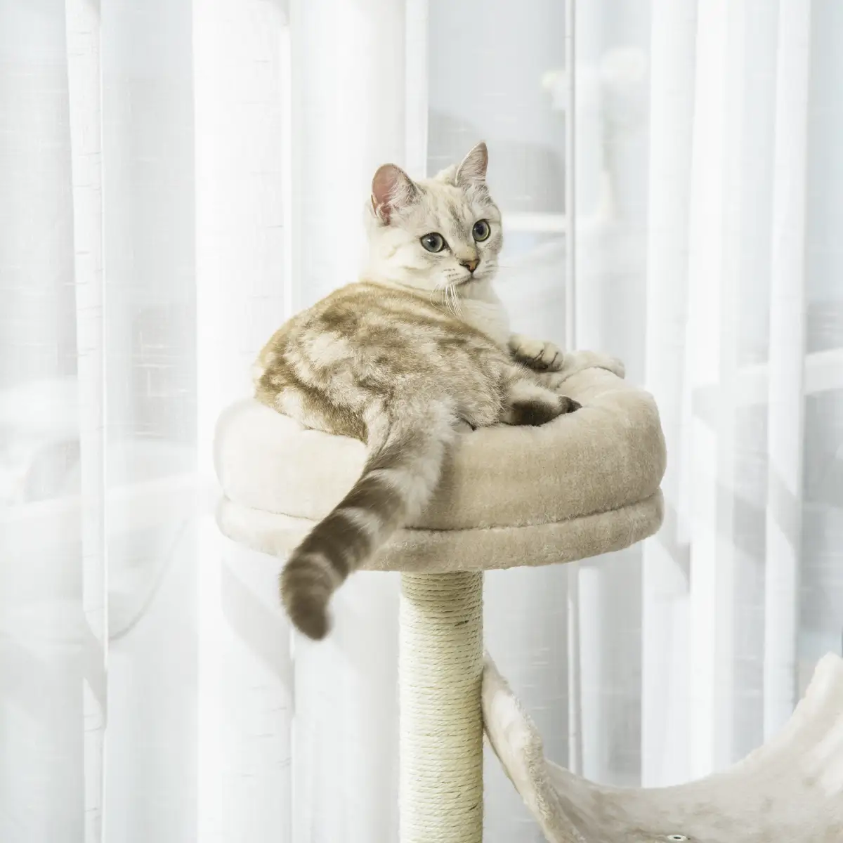 Multi-Level Large Cat Tree Scratching Post Perch Play Center Tunnel Beige by Pawhut