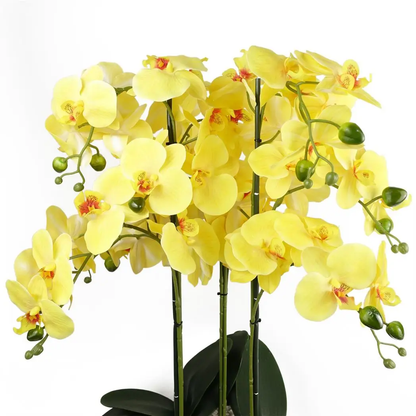 60cm Orchid Artificial Yellow Black Ceramic Planter by Leaf
